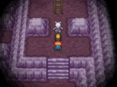 ꡼ No.008 | ֥ݥåȥ󥹥 XYΥݥ֥ߥ奦ġפ˻ݥξ󤬸ǤϪܤ줿ǿƳǧ褦