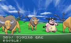 ꡼ No.022 | ֥ݥåȥ󥹥 XYפκǿPVס֥ե꡼פ俷ɲäХȥξܺ٤