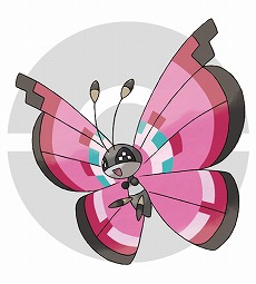 ꡼ No.056 | ֥ݥåȥ󥹥 XYפκǿPVס֥ե꡼פ俷ɲäХȥξܺ٤