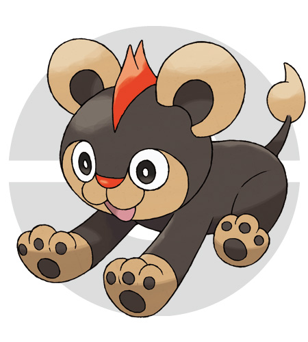 ꡼ No.038 | ֥ݥåȥ󥹥 XYס᥿ǽв񤦥饯֥ʡס֥ƥΡס֥ȥСס֥/פξʤɤˡݥ