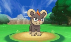 ꡼ No.049 | ֥ݥåȥ󥹥 XYס᥿ǽв񤦥饯֥ʡס֥ƥΡס֥ȥСס֥/פξʤɤˡݥ