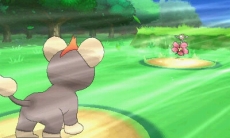 ꡼ No.050 | ֥ݥåȥ󥹥 XYס᥿ǽв񤦥饯֥ʡס֥ƥΡס֥ȥСס֥/פξʤɤˡݥ