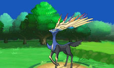 ポケットモンスター X Y 伝説のポケモン ゼルネアス と イベルタル の特性やタイプが明らかに 新キャラクターや通信機能の情報などとあわせて紹介