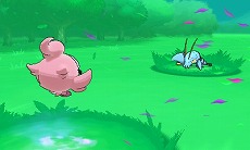 ꡼ No.043Υͥ / ֥ݥåȥ󥹥 XYסΥݥ֥ͥפȡ֥٥륿פ䥿פ餫ˡ饯̿ǽξʤɤȤ碌ƾҲ