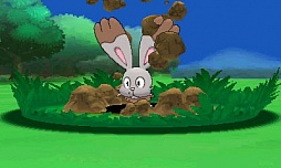 ꡼ No.051 | ʿʲ֥ᥬ󥫡פȤϲ֥ݥåȥ󥹥 Xס֥ݥåȥ󥹥 Yפκǿ³