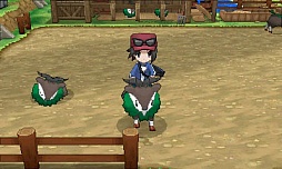 ꡼ No.056 | ʿʲ֥ᥬ󥫡פȤϲ֥ݥåȥ󥹥 Xס֥ݥåȥ󥹥 Yפκǿ³