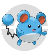 ꡼ No.027 | ֥ݥåȥ󥹥 XYס褤ȯ䡣ΤäƤǤο򡤿о줹ݥ󤿤ȤޤȤƾҲ