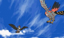 ꡼ No.042 | ֥ݥåȥ󥹥 XYס褤ȯ䡣ΤäƤǤο򡤿о줹ݥ󤿤ȤޤȤƾҲ