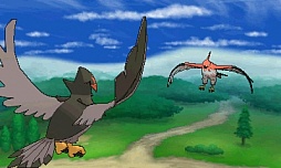 ꡼ No.043 | ֥ݥåȥ󥹥 XYס褤ȯ䡣ΤäƤǤο򡤿о줹ݥ󤿤ȤޤȤƾҲ