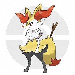 ꡼ No.102 | ֥ݥåȥ󥹥 XYס褤ȯ䡣ΤäƤǤο򡤿о줹ݥ󤿤ȤޤȤƾҲ