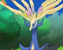 ꡼ No.114 | ֥ݥåȥ󥹥 XYס褤ȯ䡣ΤäƤǤο򡤿о줹ݥ󤿤ȤޤȤƾҲ