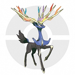 ꡼ No.120 | ֥ݥåȥ󥹥 XYס褤ȯ䡣ΤäƤǤο򡤿о줹ݥ󤿤ȤޤȤƾҲ