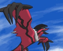 ꡼ No.121 | ֥ݥåȥ󥹥 XYס褤ȯ䡣ΤäƤǤο򡤿о줹ݥ󤿤ȤޤȤƾҲ