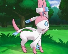 ꡼ No.207 | ֥ݥåȥ󥹥 XYס褤ȯ䡣ΤäƤǤο򡤿о줹ݥ󤿤ȤޤȤƾҲ