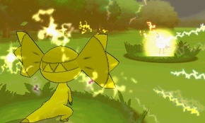 ꡼ No.213 | ֥ݥåȥ󥹥 XYס褤ȯ䡣ΤäƤǤο򡤿о줹ݥ󤿤ȤޤȤƾҲ