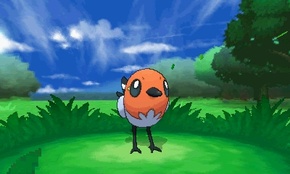 ꡼ No.215 | ֥ݥåȥ󥹥 XYס褤ȯ䡣ΤäƤǤο򡤿о줹ݥ󤿤ȤޤȤƾҲ