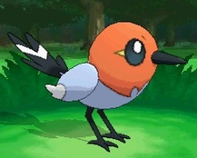 ꡼ No.216 | ֥ݥåȥ󥹥 XYס褤ȯ䡣ΤäƤǤο򡤿о줹ݥ󤿤ȤޤȤƾҲ