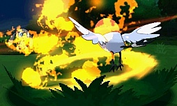 ꡼ No.217 | ֥ݥåȥ󥹥 XYס褤ȯ䡣ΤäƤǤο򡤿о줹ݥ󤿤ȤޤȤƾҲ