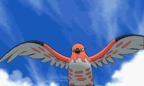 ꡼ No.220 | ֥ݥåȥ󥹥 XYס褤ȯ䡣ΤäƤǤο򡤿о줹ݥ󤿤ȤޤȤƾҲ