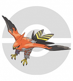 ꡼ No.225 | ֥ݥåȥ󥹥 XYס褤ȯ䡣ΤäƤǤο򡤿о줹ݥ󤿤ȤޤȤƾҲ