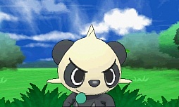 ꡼ No.227 | ֥ݥåȥ󥹥 XYס褤ȯ䡣ΤäƤǤο򡤿о줹ݥ󤿤ȤޤȤƾҲ