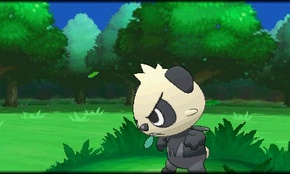 ꡼ No.228 | ֥ݥåȥ󥹥 XYס褤ȯ䡣ΤäƤǤο򡤿о줹ݥ󤿤ȤޤȤƾҲ