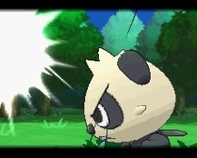 ꡼ No.229 | ֥ݥåȥ󥹥 XYס褤ȯ䡣ΤäƤǤο򡤿о줹ݥ󤿤ȤޤȤƾҲ