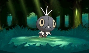 ꡼ No.252 | ֥ݥåȥ󥹥 XYס褤ȯ䡣ΤäƤǤο򡤿о줹ݥ󤿤ȤޤȤƾҲ