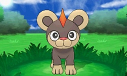 ꡼ No.278 | ֥ݥåȥ󥹥 XYס褤ȯ䡣ΤäƤǤο򡤿о줹ݥ󤿤ȤޤȤƾҲ