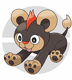 ꡼ No.282 | ֥ݥåȥ󥹥 XYס褤ȯ䡣ΤäƤǤο򡤿о줹ݥ󤿤ȤޤȤƾҲ