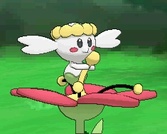 ꡼ No.286 | ֥ݥåȥ󥹥 XYס褤ȯ䡣ΤäƤǤο򡤿о줹ݥ󤿤ȤޤȤƾҲ