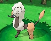 ꡼ No.320 | ֥ݥåȥ󥹥 XYס褤ȯ䡣ΤäƤǤο򡤿о줹ݥ󤿤ȤޤȤƾҲ