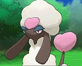 ꡼ No.322 | ֥ݥåȥ󥹥 XYס褤ȯ䡣ΤäƤǤο򡤿о줹ݥ󤿤ȤޤȤƾҲ