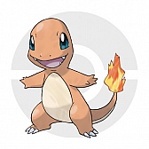 ꡼ No.357 | ֥ݥåȥ󥹥 XYס褤ȯ䡣ΤäƤǤο򡤿о줹ݥ󤿤ȤޤȤƾҲ