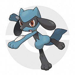 ꡼ No.360 | ֥ݥåȥ󥹥 XYס褤ȯ䡣ΤäƤǤο򡤿о줹ݥ󤿤ȤޤȤƾҲ