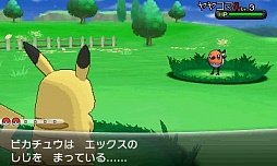 ꡼ No.377 | ֥ݥåȥ󥹥 XYס褤ȯ䡣ΤäƤǤο򡤿о줹ݥ󤿤ȤޤȤƾҲ