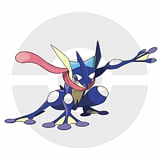 ꡼ No.029Υͥ / ֥ݥåȥ󥹥 XYסݥ5ξ󤬿˸֥ݥεפγŤȯɽ