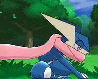 ꡼ No.030Υͥ / ֥ݥåȥ󥹥 XYסݥ5ξ󤬿˸֥ݥεפγŤȯɽ