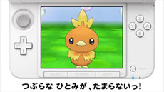 ꡼ No.027Υͥ / ֥ݥåȥ󥹥 XYס4οݥξ󤬸ˡݥȤˤϿƥġֺΥݥפо