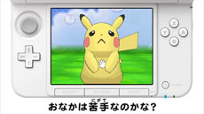 ꡼ No.028Υͥ / ֥ݥåȥ󥹥 XYס4οݥξ󤬸ˡݥȤˤϿƥġֺΥݥפо