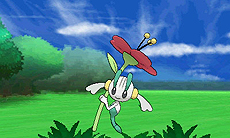 ���������꡼ No.012�Υ���ͥ������ / �֥ݥ��åȥ�󥹥��� X��Y�ס���������֤ˤʤ�ݥ����䡤ʪ��Υ����򰮤��ʪ���ե�����AZ�ξ��󤬸�����