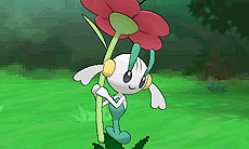 ���������꡼ No.013�Υ���ͥ������ / �֥ݥ��åȥ�󥹥��� X��Y�ס���������֤ˤʤ�ݥ����䡤ʪ��Υ����򰮤��ʪ���ե�����AZ�ξ��󤬸�����