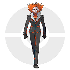 ���������꡼ No.029�Υ���ͥ������ / �֥ݥ��åȥ�󥹥��� X��Y�ס���������֤ˤʤ�ݥ����䡤ʪ��Υ����򰮤��ʪ���ե�����AZ�ξ��󤬸�����