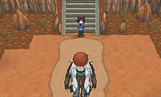 ���������꡼ No.034�Υ���ͥ������ / �֥ݥ��åȥ�󥹥��� X��Y�ס���������֤ˤʤ�ݥ����䡤ʪ��Υ����򰮤��ʪ���ե�����AZ�ξ��󤬸�����