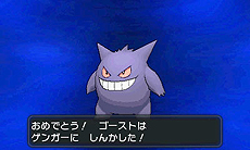 ꡼ No.010 | ֡إݥåȥ󥹥 XY٥ꥹޥ򴹲פǥᥬ󥫤ݥ餪ݥ󥻥󥿡ӥȥ饹122126ޤǼ»