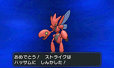 ポケットモンスター X Y クリスマス交換会 でメガシンカするポケモンをもらおう ポケモンセンターおよびトイザらスで12月21日から26日まで実施