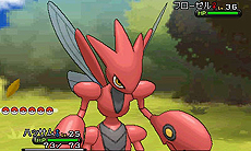 ꡼ No.024 | ֡إݥåȥ󥹥 XY٥ꥹޥ򴹲פǥᥬ󥫤ݥ餪ݥ󥻥󥿡ӥȥ饹122126ޤǼ»