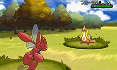 ꡼ No.026 | ֡إݥåȥ󥹥 XY٥ꥹޥ򴹲פǥᥬ󥫤ݥ餪ݥ󥻥󥿡ӥȥ饹122126ޤǼ»