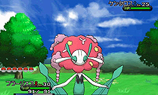 ꡼ No.016Υͥ / ֥ݥåȥ󥹥XYסΥ饤ޥåо줹ݥȥ꡼餫ˡӥ֥ݥХ󥯡פȡ֥ݥεפξ