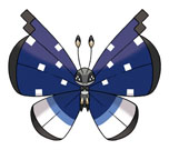 ���������꡼ No.024�Υ���ͥ������ / �֥ݥ��åȥ�󥹥���X��Y�ס��ݥ����ο����ʰ�����ˡ�֥����ѡ��ȥ졼�˥󥰡פξܺ٤������ˡ������ݥ���Ȥζ�����ޤ���